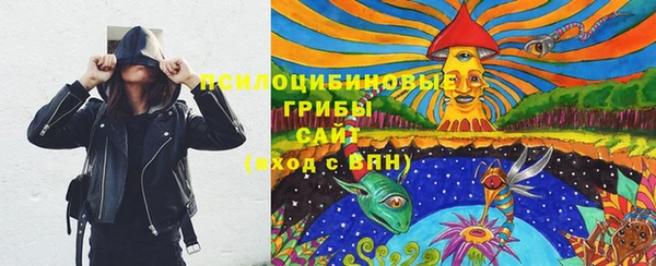 эйфоретик Алексин