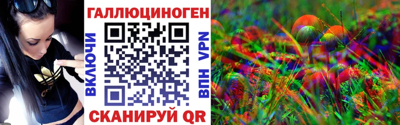 Псилоцибиновые грибы GOLDEN TEACHER  купить наркотики сайты  hydra ТОР  Ардатов 