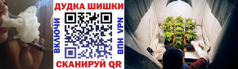 это наркотические препараты  где найти наркотики  Ардатов  Бошки Шишки план 